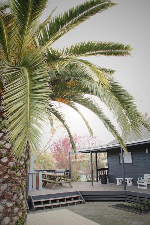 Hugo & Carters Backpackers & Motel Тауранга Екстериор снимка Phoenix canariensis